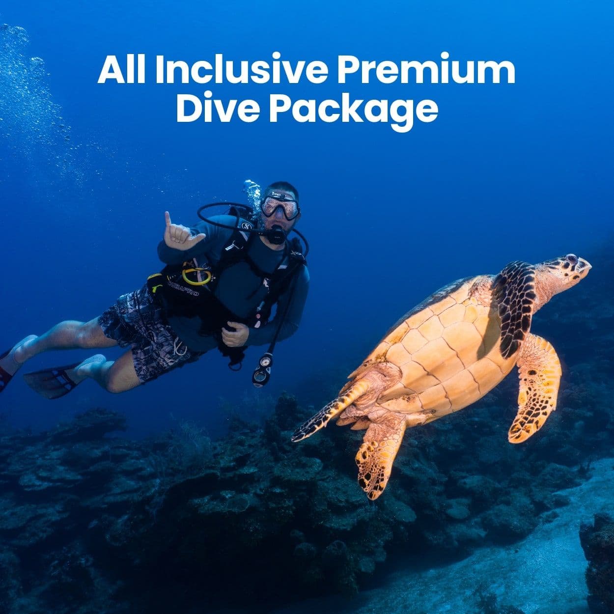 7- Night 15 Dives All Inclusive Premium